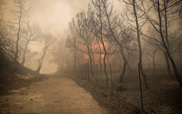 «Η φωτιά στην Κινέτα είναι από τα χειρότερα σενάρια που απευχόμασταν», δήλωσε ο ΓΓ πολιτικής προστασίας